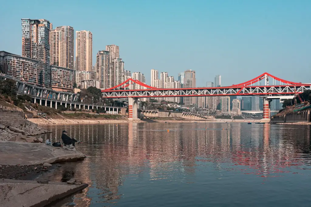 广州楼盘对比分析服务：优房圈小区评测报告的技术实现路径