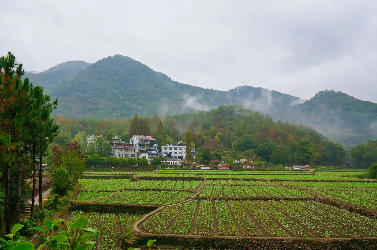 广州天河区热门小区评测报告：优房圈深度对比分析