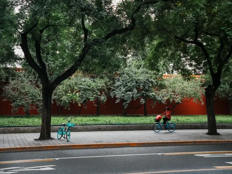 广州二手房市场趋势解读：基于户型分析报告的专业研判