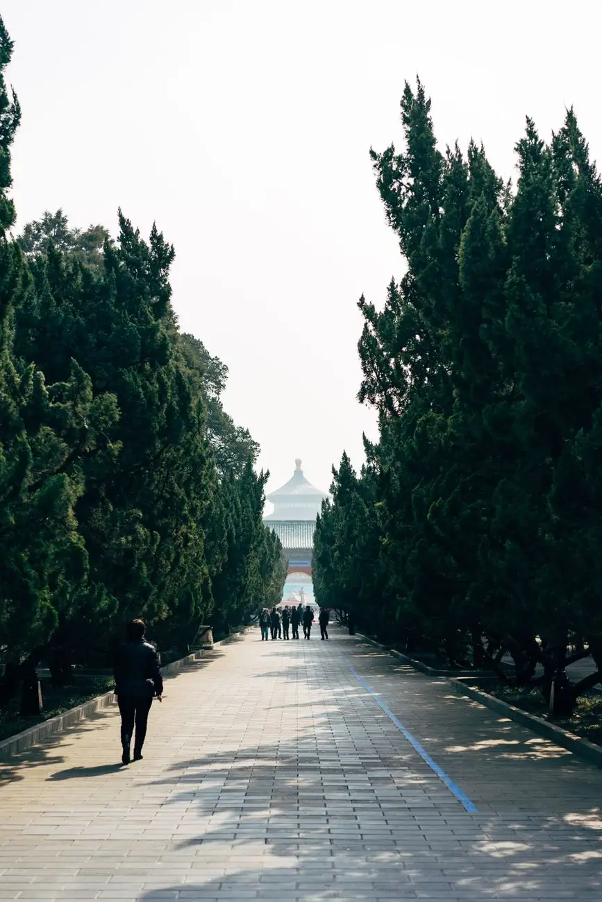 广州天河区热门小区评测报告：户型与学区价值深度分析